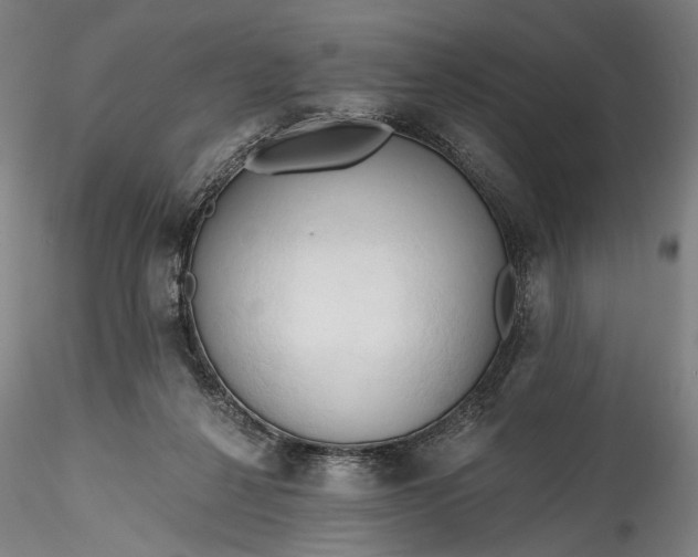 X0000115790264200911271233