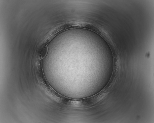 X0000115790265200911271233