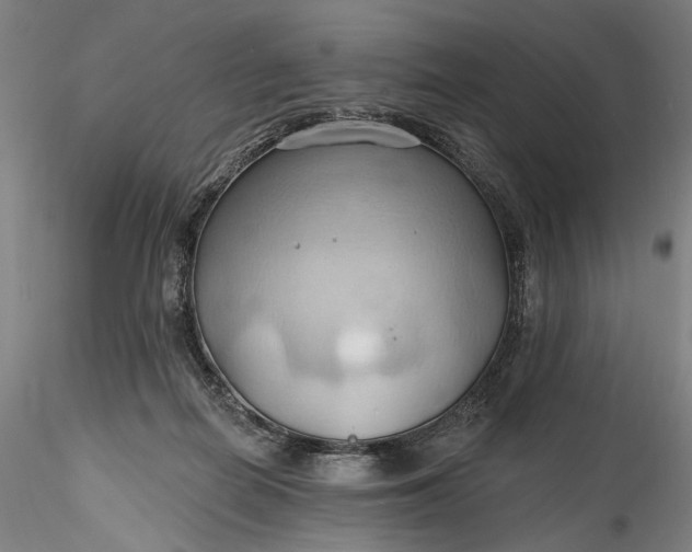 X0000115790266200911271233