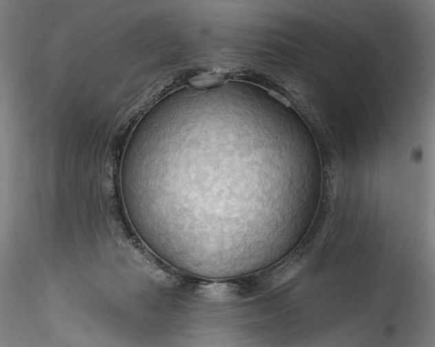 X0000115790269200911271233