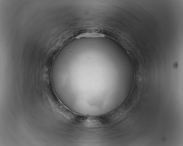 X0000115790270200911271233