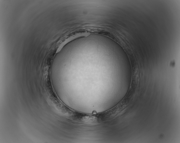 X0000115790271200911271233