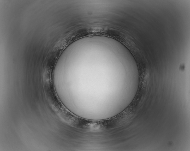 X0000115790272200911271233