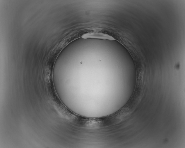 X0000115790274200911271233