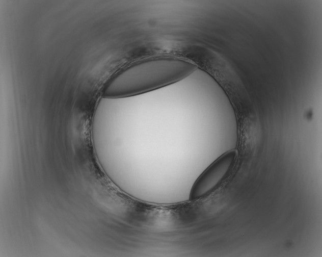 X0000115790276200911271233