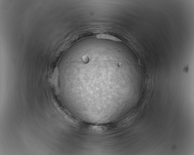 X0000115790277200911271233