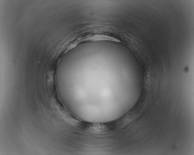 X0000115790278200911271233