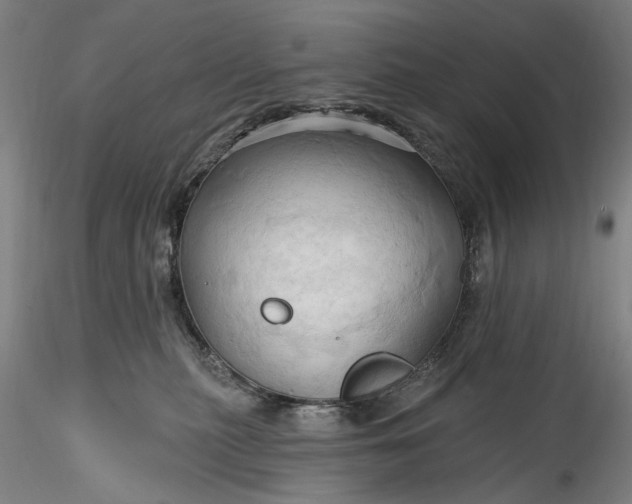 X0000115790279200911271233