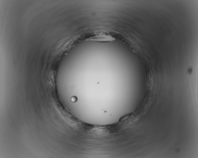 X0000115790280200911271233