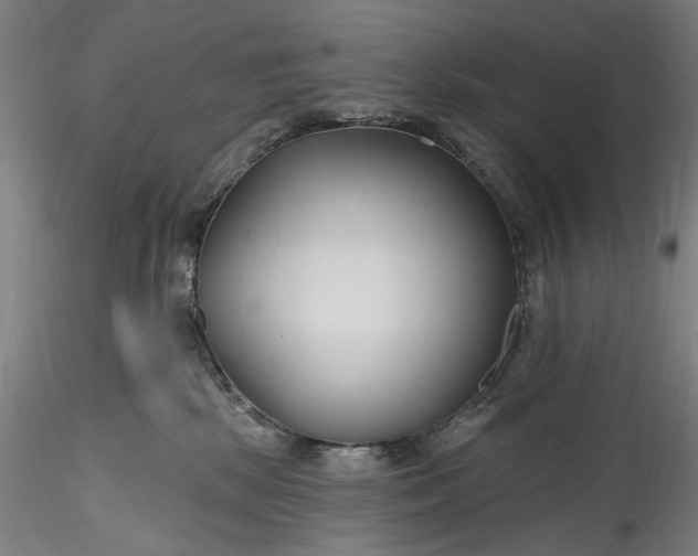 X0000115790281200911271233