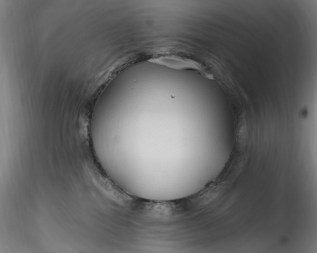 X0000115790282200911271233