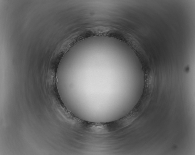 X0000115790283200911271234