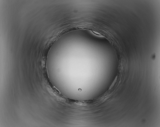 X0000115790284200911271234