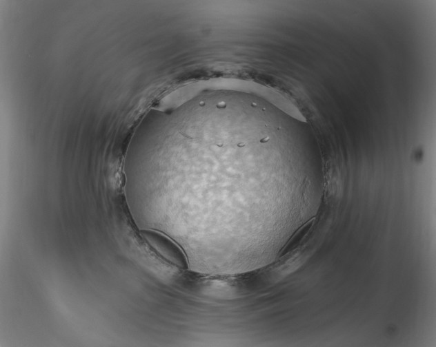 X0000115790285200911271234