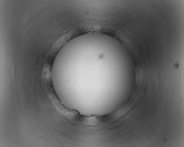 X0000115790287200911271234