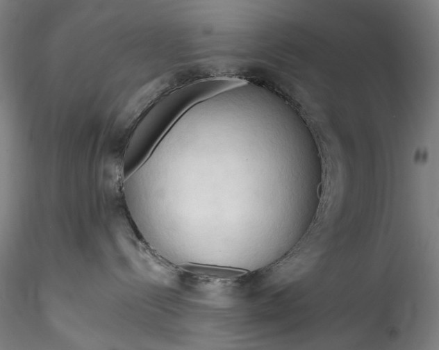 X0000115790288200911271234