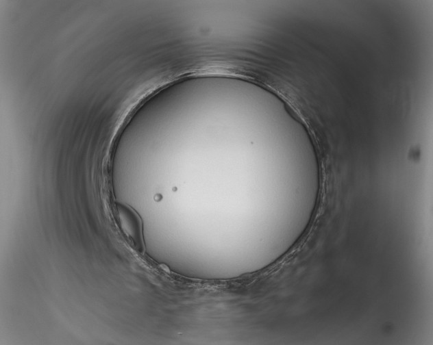 X0000115790289200911271233