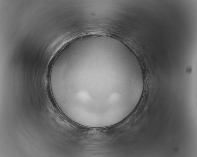 X0000115790290200911271233