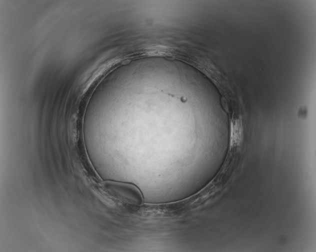 X0000115790291200911271233