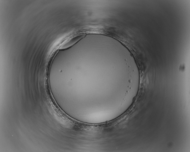 X0000115790293200911271233