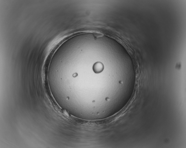 X0000115790294200911271233