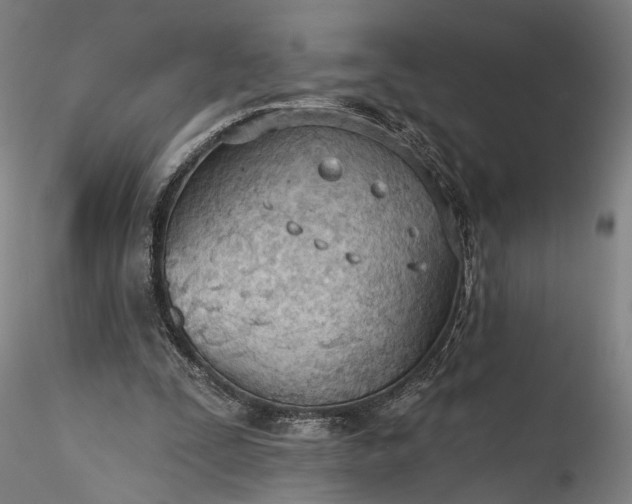 X0000115790295200911271233