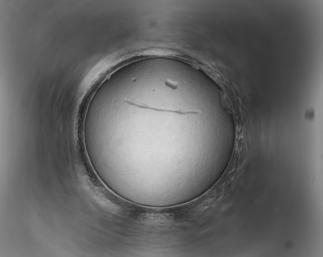 X0000115790296200911271233