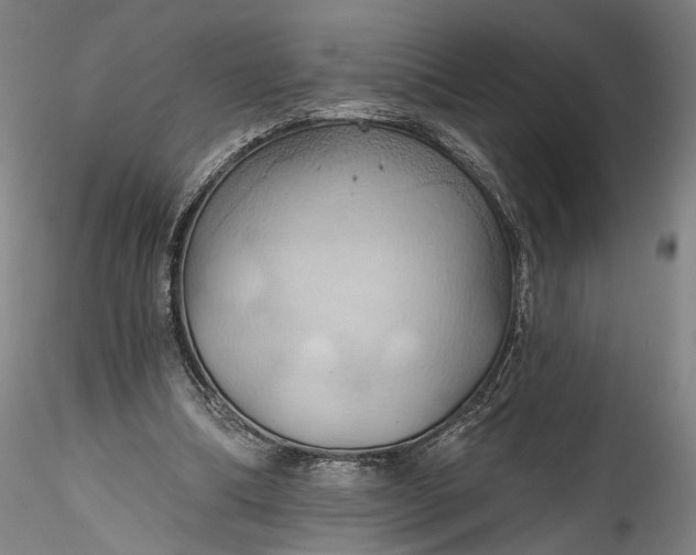 X0000115790298200911271233