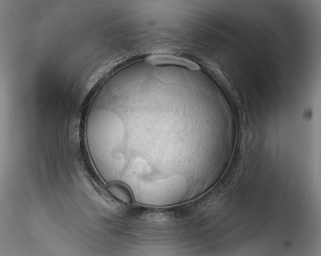 X0000115790299200911271233