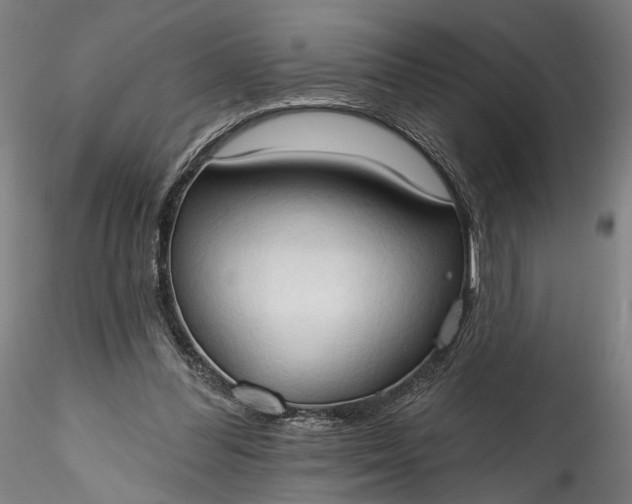 X0000115790300200911271233