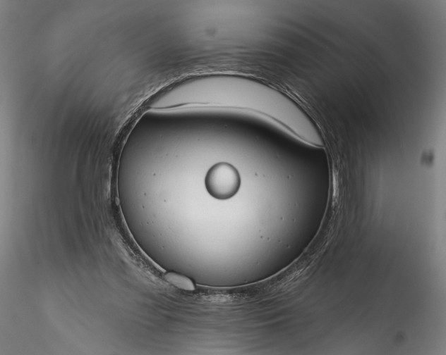 X0000115790301200911271233