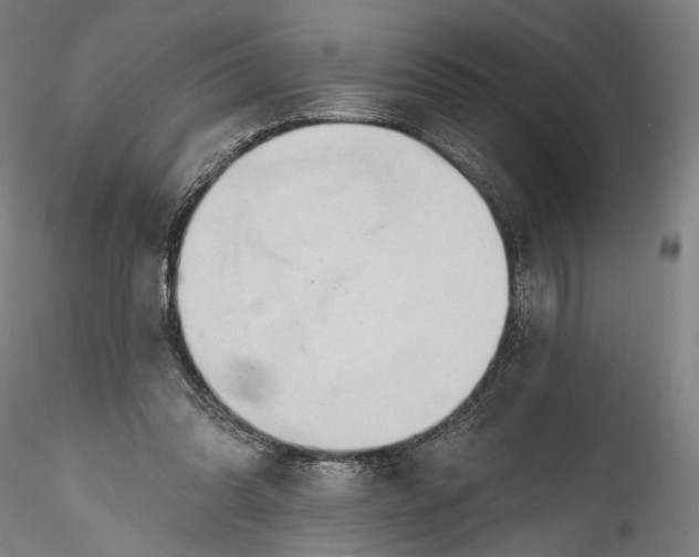 X0000115790302200911271233