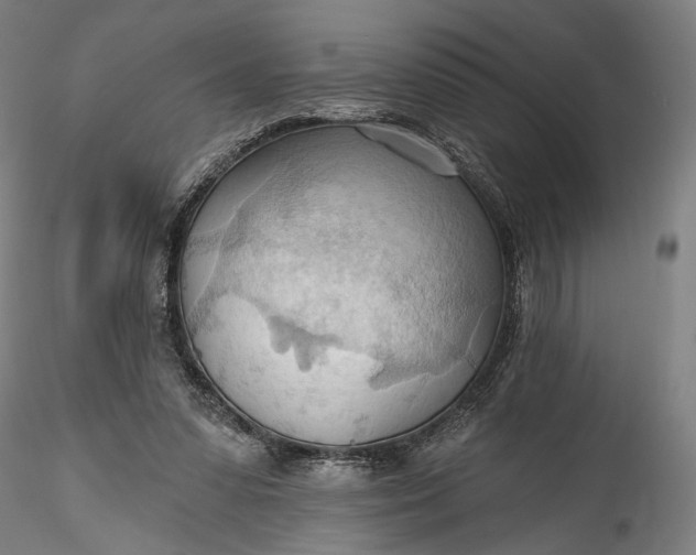 X0000115790303200911271233