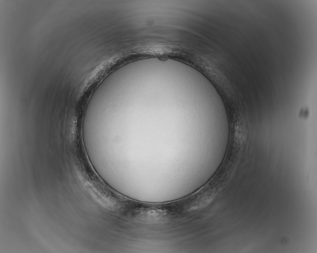 X0000115790304200911271233