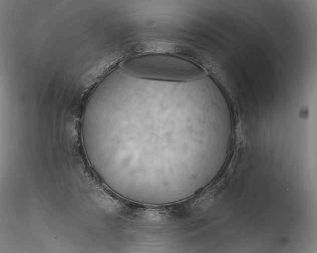 X0000115790305200911271233