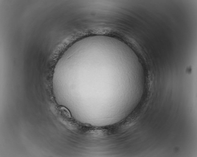 X0000115790307200911271233