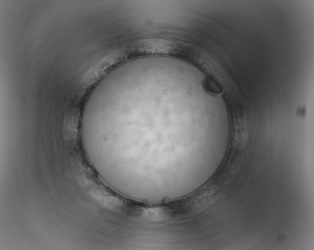 X0000115790309200911271233