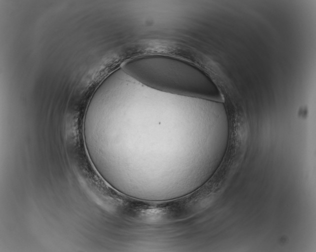 X0000115790312200911271233