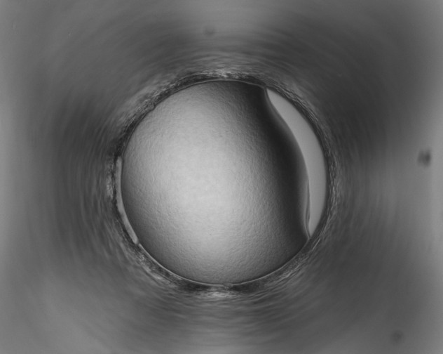 X0000115790313200911271233