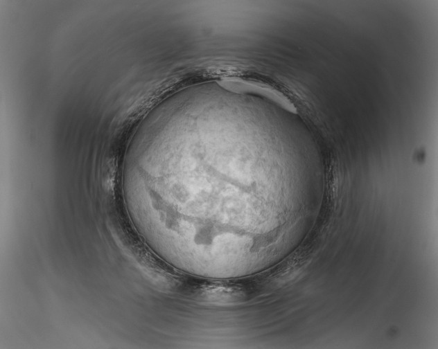 X0000115790315200911271233