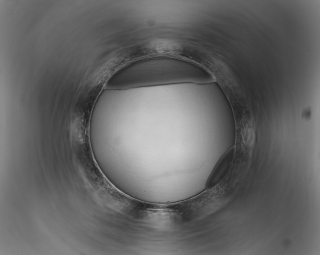 X0000115790316200911271233