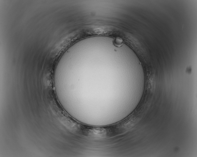 X0000115790317200911271233