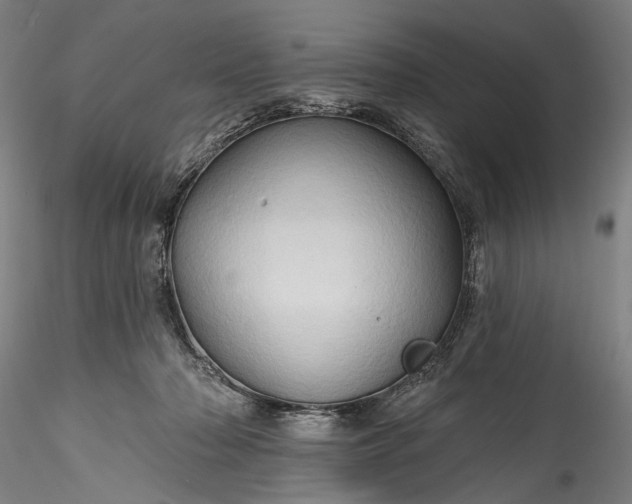 X0000115790318200911271233