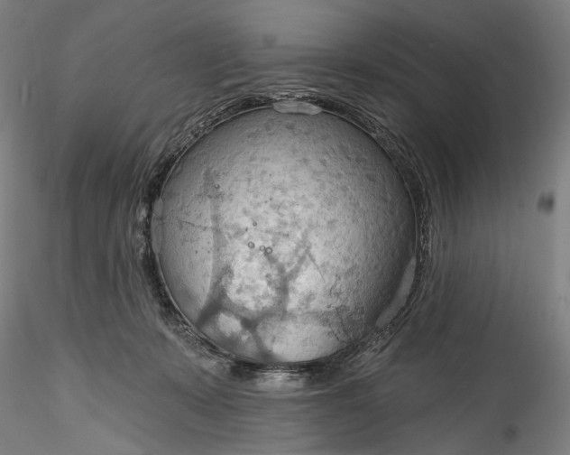 X0000115790319200911271232