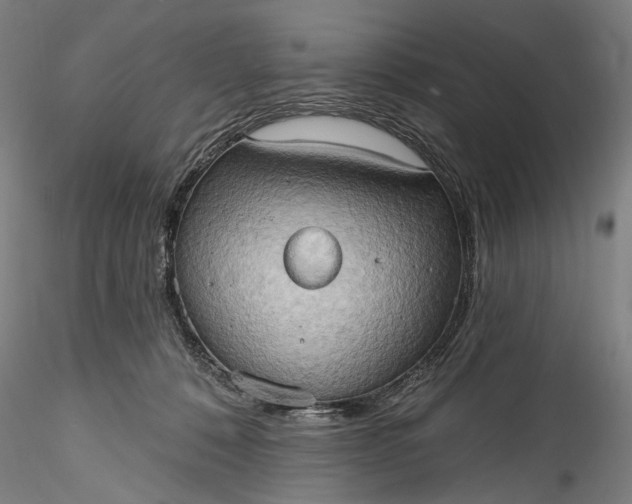 X0000115790320200911271232