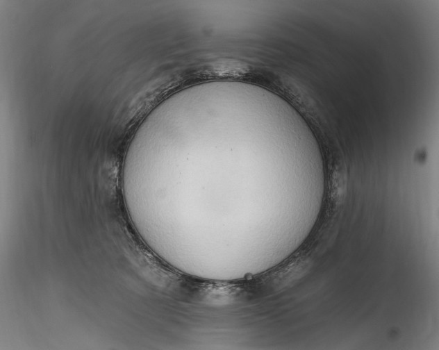 X0000115790321200911271232