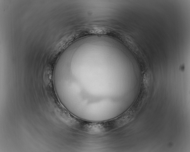 X0000115790322200911271232