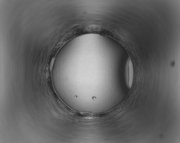 X0000115790323200911271232