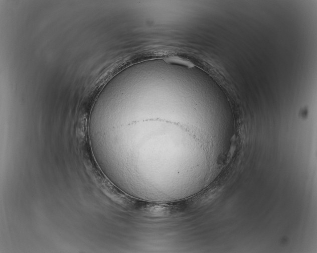 X0000115790325200911271232