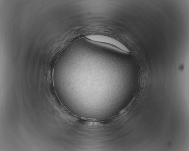 X0000115790327200911271232